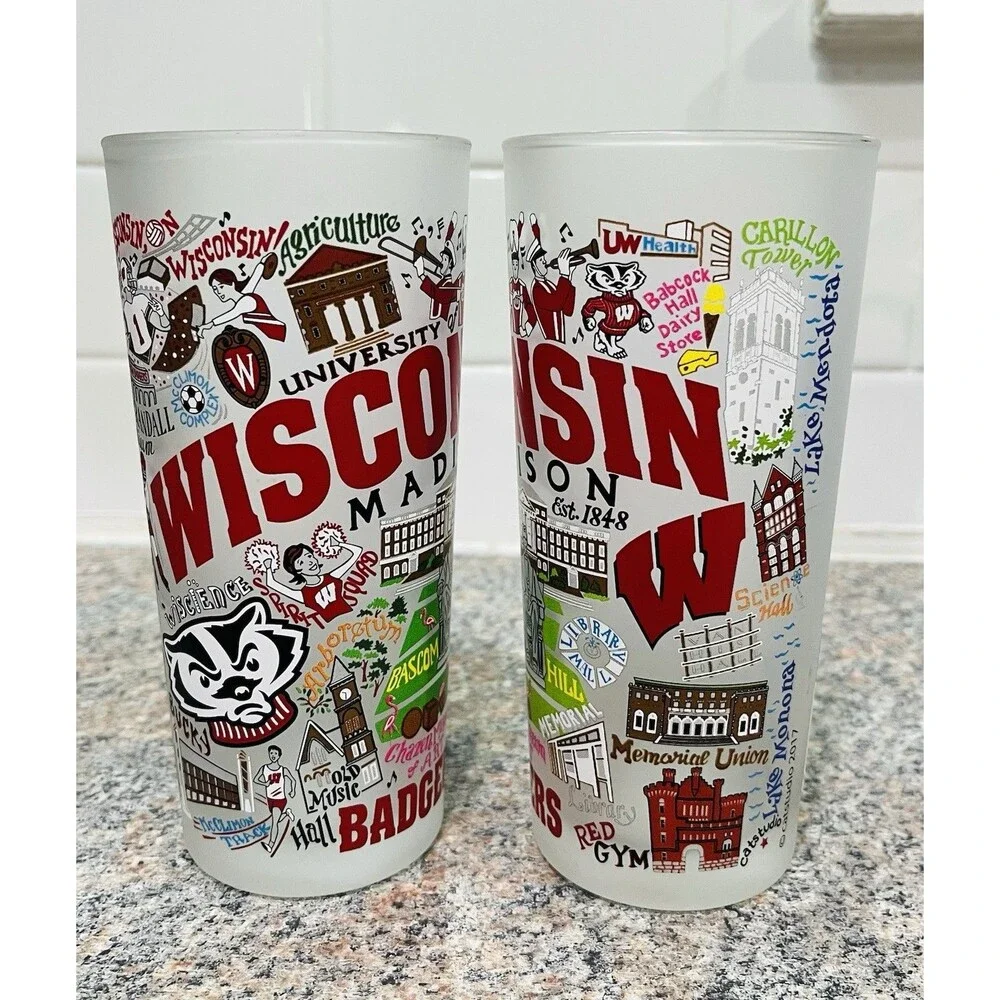 University of Wisconsin Madison Frosted Tumbler Glass SET OF 2 Collective Mugs